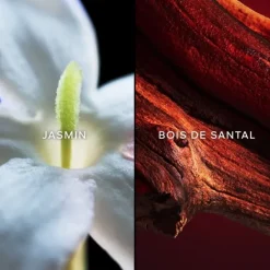 Eau De Parfum><noscript><img width=