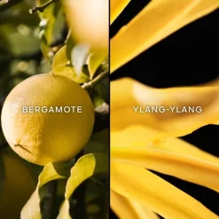 Eau De Toilette><noscript><img width=