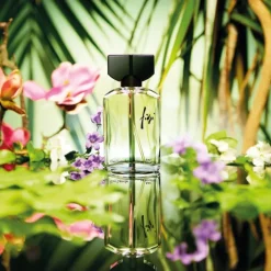 Eau De Toilette><noscript><img width=