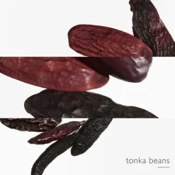 Eau De Parfum><noscript><img width=