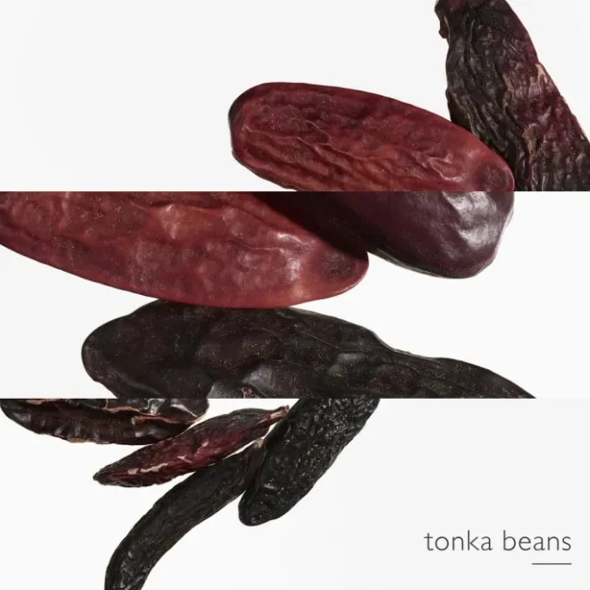 Eau De Parfum>HERMÈS L'Ombre des Merveilles Eau de Parfum