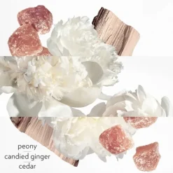 Eau De Parfum><noscript><img width=