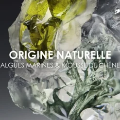 Parfum Naturel & Eco-Responsable|Eau De Toilette><noscript><img width=