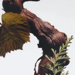 Parfum Mixte><noscript><img width=