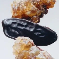 Bougie Parfumée><noscript><img width=