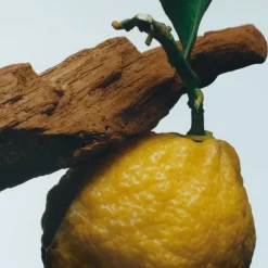 Parfum Mixte><noscript><img width=