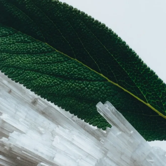 Parfum Mixte>Jo Malone Wood Sage & Sea Salt Gel Moussant Nettoyant