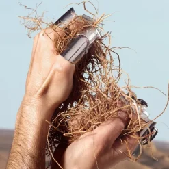 Eau De Toilette><noscript><img width=