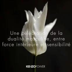 Eau De Toilette><noscript><img width=