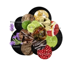 Eau De Parfum><noscript><img width=