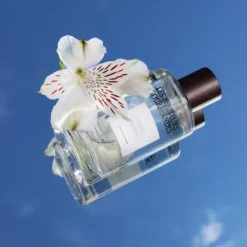 Parfum Mixte>Les Senteurs Gourmandes Musc Blanc                Eau de Parfum 100 ml