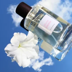 Parfum Naturel & Eco-Responsable>Les Senteurs Gourmandes Prune Jasmin                Eau de Parfum