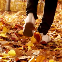 Parfum Mixte><noscript><img width=