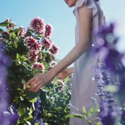 Bougie Parfumée><noscript><img width=