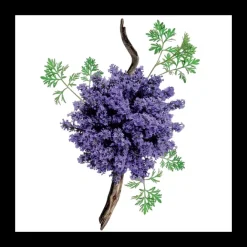 Eau De Parfum><noscript><img width=