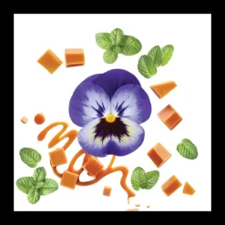 Eau De Parfum><noscript><img width=