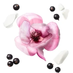 Eau De Toilette><noscript><img width=