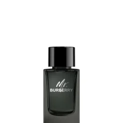 Eau De Parfum>Burberry Mr.                Eau de Parfum
