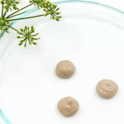 Masque|Gommage & Exfoliant><noscript><img width=