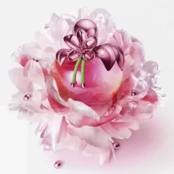 Parfum Naturel & Eco-Responsable|Eau De Parfum><noscript><img width=