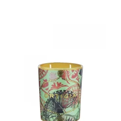 Bougie Parfumée|Parfum Mixte>Ortigia Sicilia Fico d'India                Bougie Parfumée Décorée