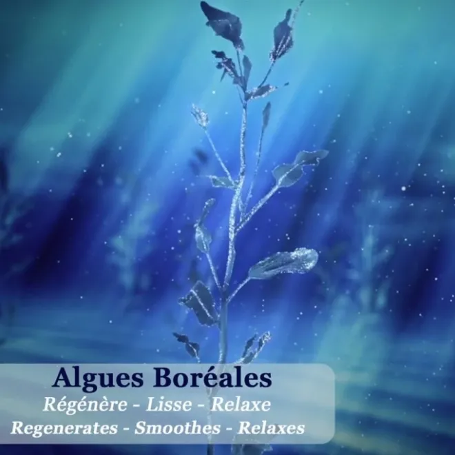 Soin Hydratant, Nourrissant, Anti-Âge|Soin Naturel & Ecoresponsable>Polaar Nuit Polaire aux Algues Boréales Lait Corps Hydratant