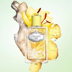 Parfum Mixte><noscript><img width=