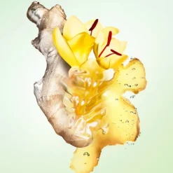 Parfum Mixte><noscript><img width=