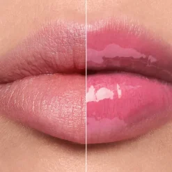 Gloss><noscript><img width=