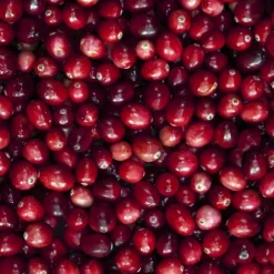 Eau De Toilette><noscript><img width=