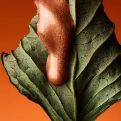 Eau De Toilette><noscript><img width=