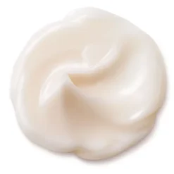 Soin Jour & Nuit>SHISEIDO Bio-Performance                Crème Super Revitalisante Absolue