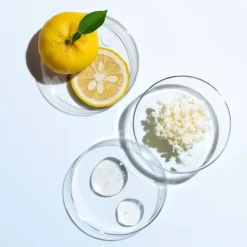 Soin Jour & Nuit|Soin De Jour>SHISEIDO Eudermine                Essence Activatrice Revitalisante - Recharge