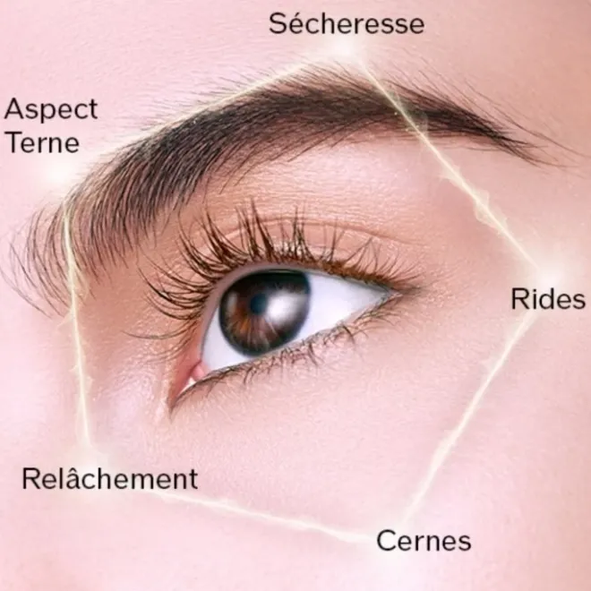 Soin Jour & Nuit>SHISEIDO Future Solution LX Enmei Crème Yeux Ultime