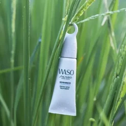 Anti-Cernes & Correcteur><noscript><img width=