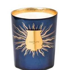 Bougie Parfumée>Trudon Astral Fir - Sapin de Noël                Grande Bougie Parfumée