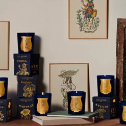 Bougie Parfumée>Trudon Esterel                Bougie Parfumée