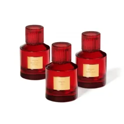Parfum Mixte><noscript><img width=