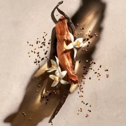 Gamme Complémentaire Parfumée><noscript><img width=